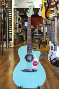Fender Newporter Player